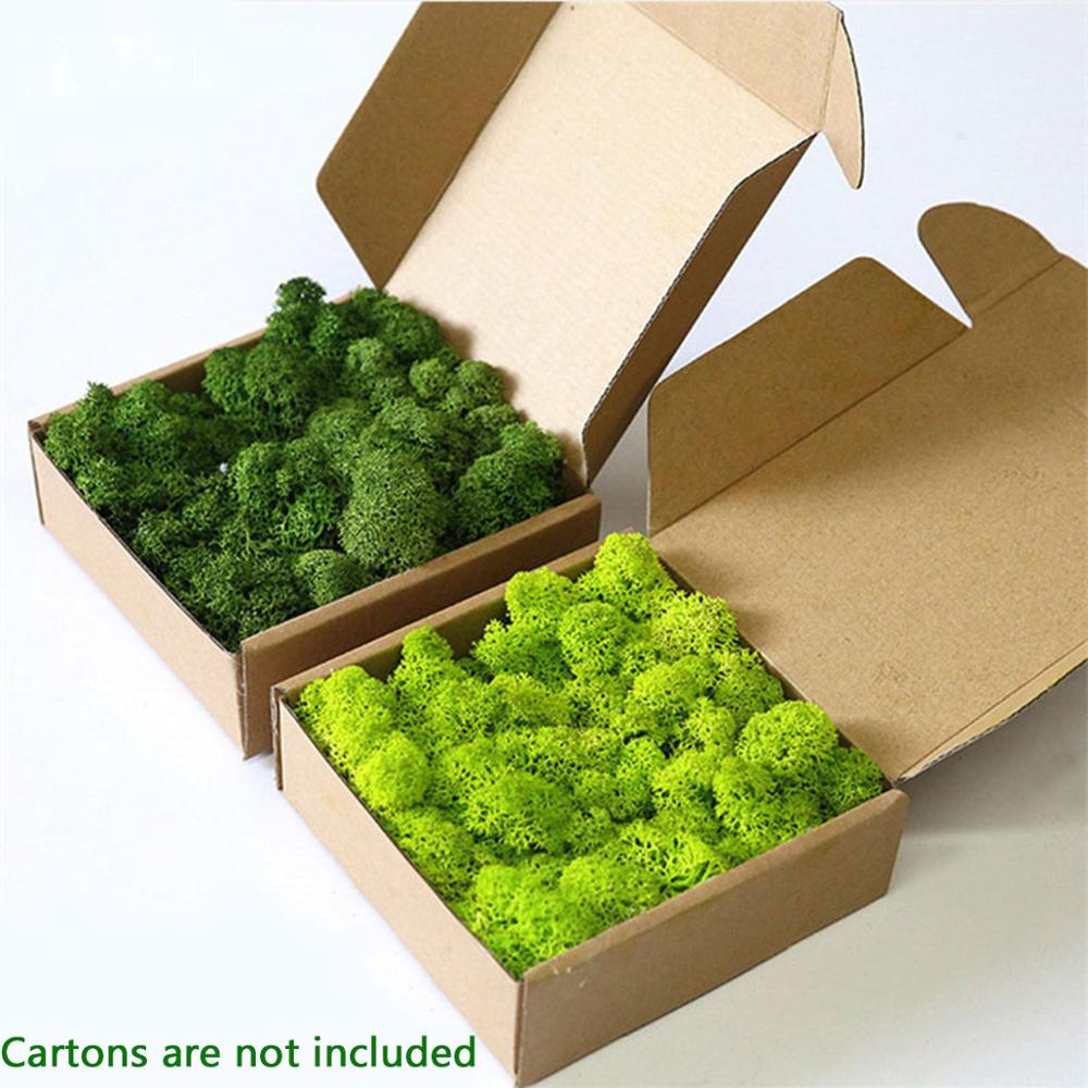 Sphagnum Moss Dry - Buatan Tanaman Hidup Abadi Moss Garden