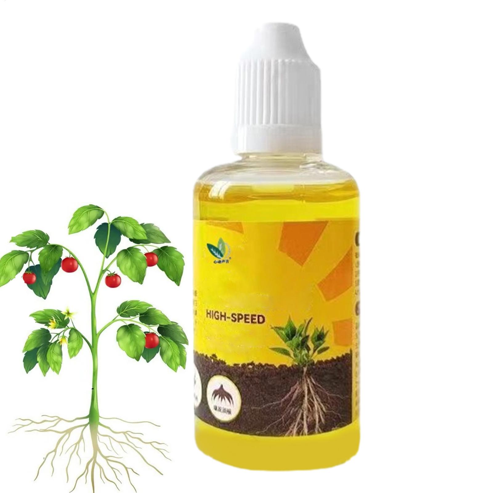 Root Stimulator Liquid - Larutan Nutrisi Tanaman Cepat Berakar, Suplemen