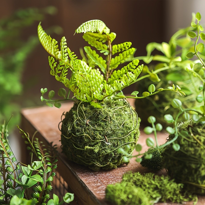 Pot Tanaman Lumut Buatan, Wada - Sphagnum Moss Dry ulasan dan harga