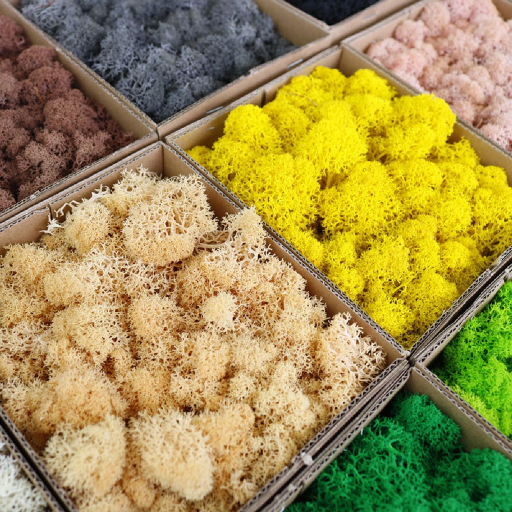 Tanaman hijau buatan lanskap M - Sphagnum Moss Dry ulasan dan harga