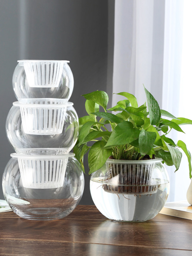 Vas Kaca Hidroponik, Vas Bunga - Propagation Station Vase ulasan dan harga